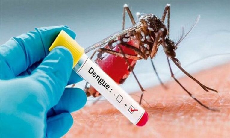 Puebla suma 59 casos de dengue en lo que va de 2022