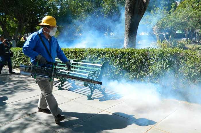Detectan 7 posibles casos de dengue clásico en región de Tehuacán