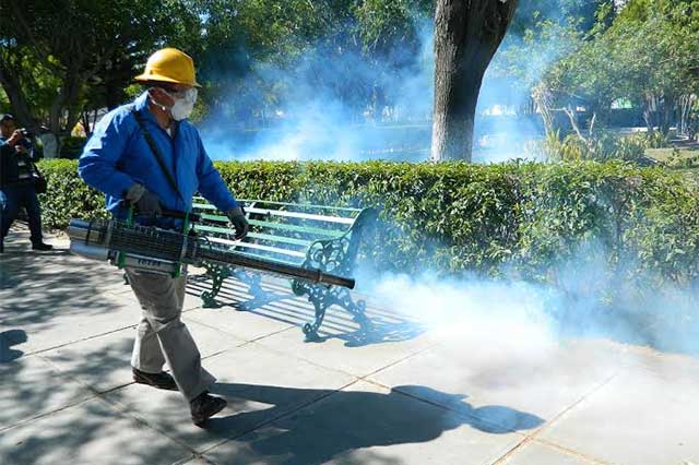 Refuerzan en Tehuacán medidas contra dengue y chikungunya