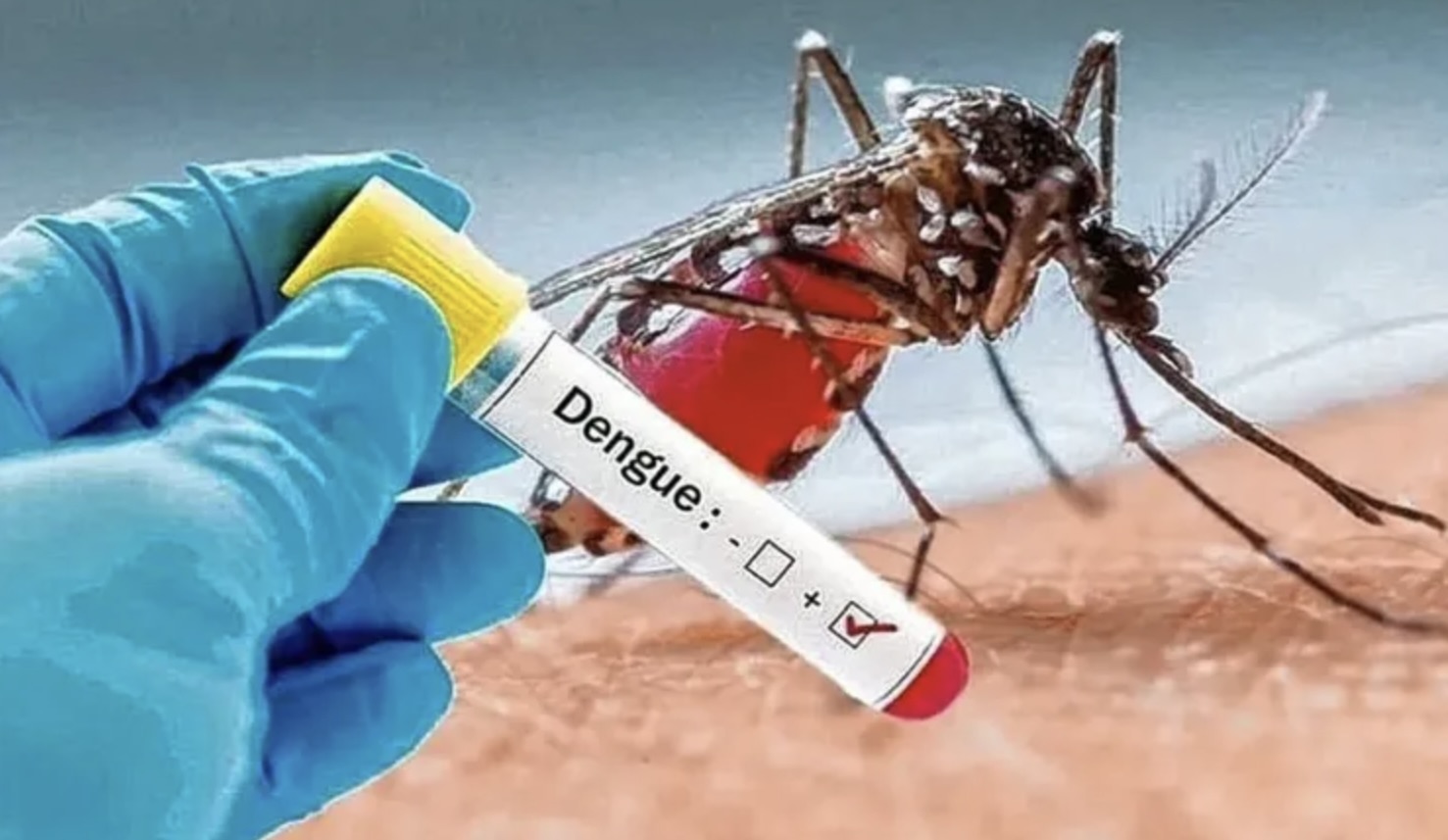 Dengue en México 2024: suman más de 41 mil casos y 128 muertes