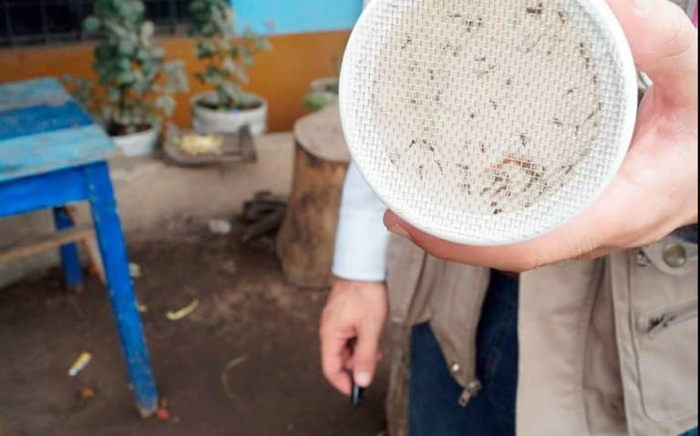 Puebla ocupa el lugar 14 por contagios de dengue