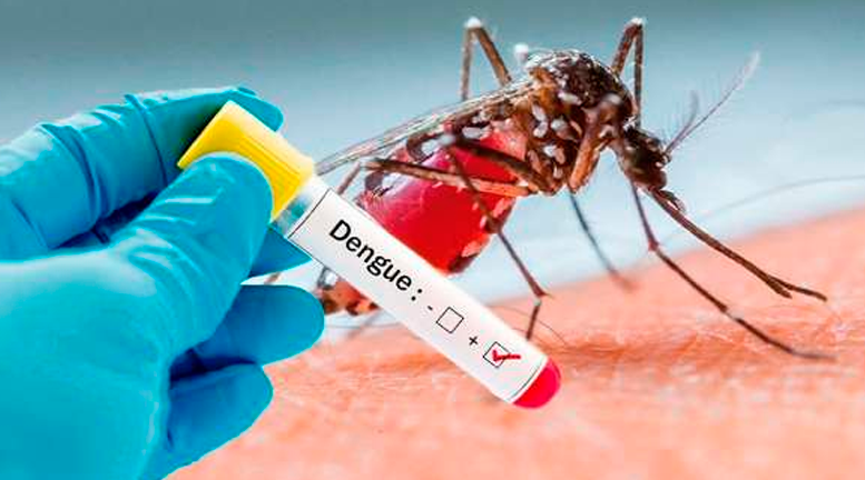 No solo Covid, dengue también afecta a poblanos
