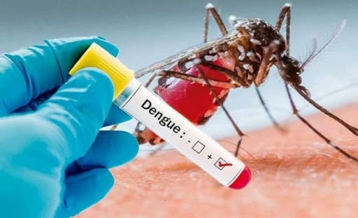 Aumentan casos de dengue en Puebla