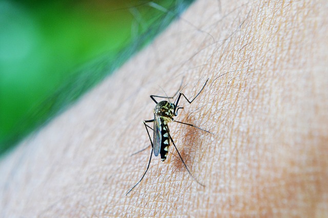 Muere niño por dengue en Teziutlán