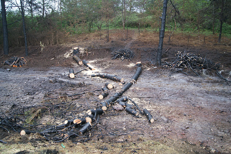 Tardará seis meses limpieza de petróleo en Huauchinango