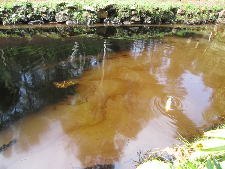 Tardará seis meses limpieza de petróleo en Huauchinango