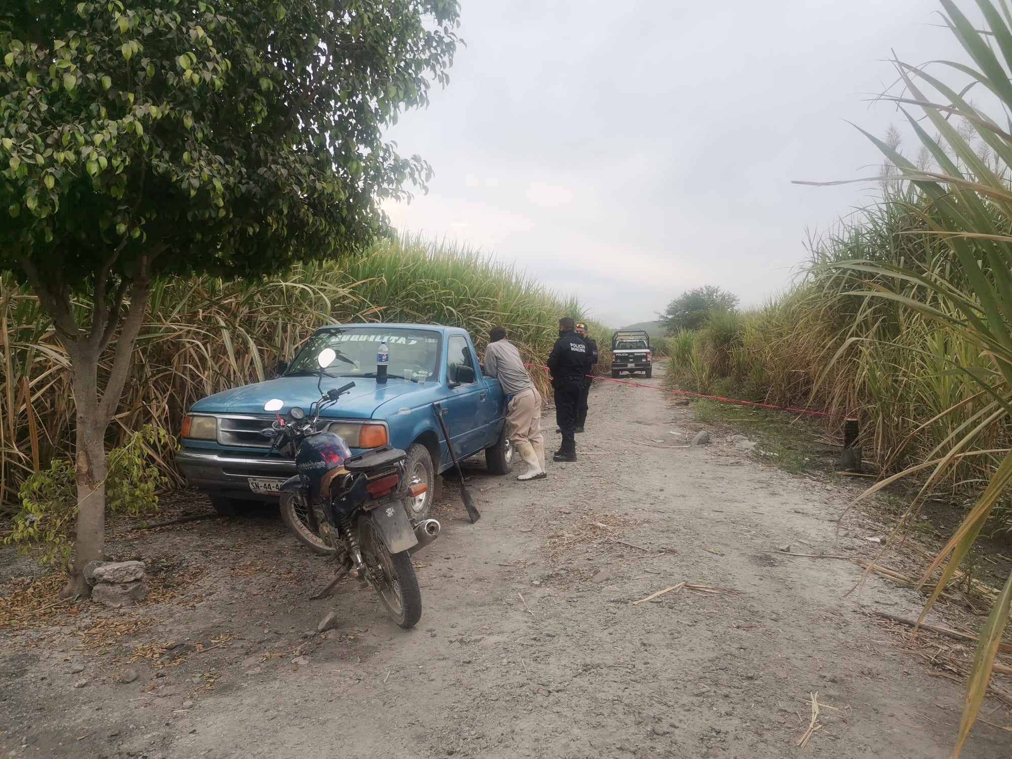 Encuentran cuerpo sin vida entre campos de caña en Izúcar