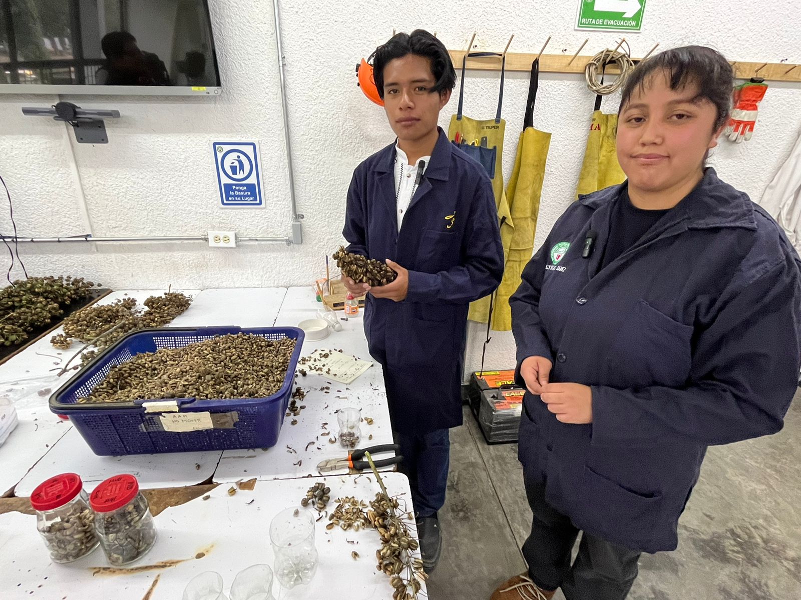 Desarrollan estudiantes de UTP investigación en biodiesel orgánico