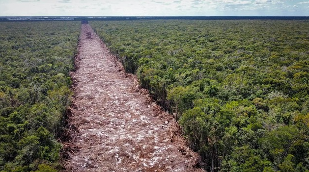 La 4T contra la selva, ese es el fondo del mensaje
