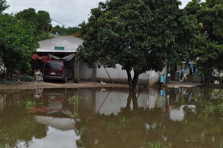 Se desbordan barrancas de la presa Boqueroncito; 30 viviendas afectadas