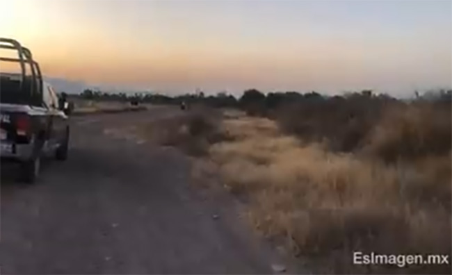 VIDEO Hallan cuerpo descuartizado y embolsado en camino de Tehuacán
