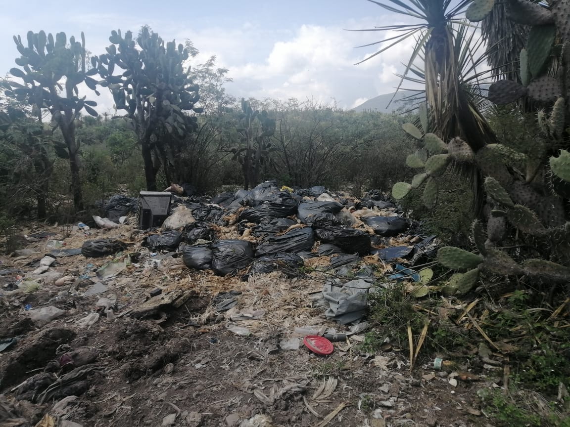 Ooselite detecta 3 tiraderos clandestinos de residuos de aves en Tehuacán