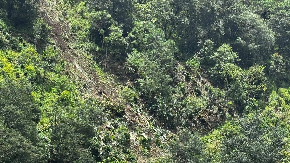 Deslizamiento de tierra deja un muerto en Chiconcuautla