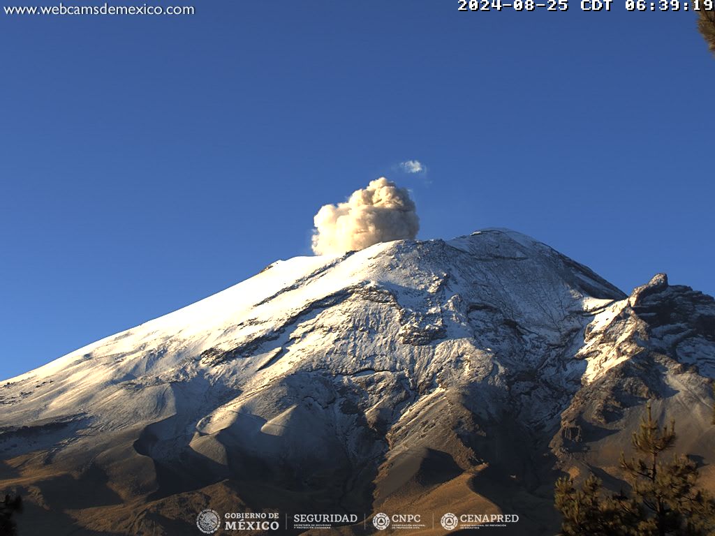 Popocatépetl registra 37 exhalaciones y 48 minutos de tremor