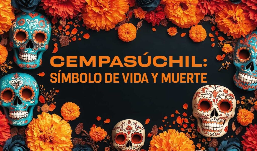 Cempasúchil: usos medicinales y agrícolas de la flor de Día de Muertos