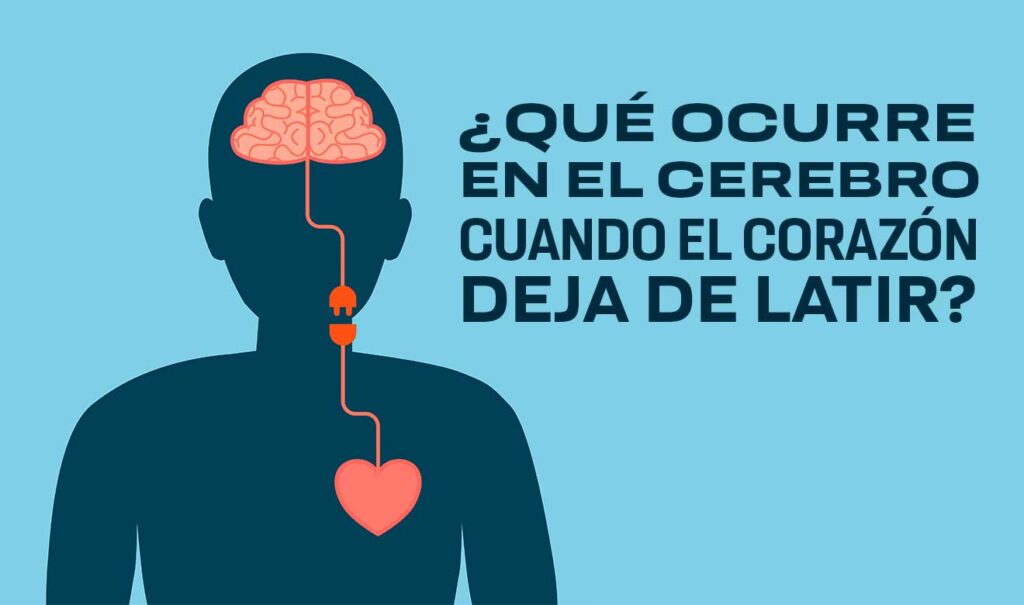 Esto le sucede al cerebro al estar cerca de la muerte