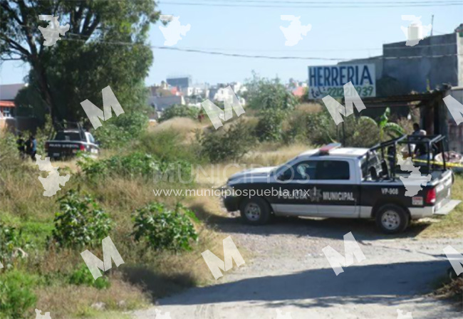 Hallan a joven con cráneo destrozado en barranca de Totimehuacan