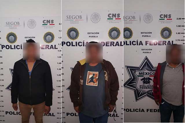Federales detienen a 5 sujetos armados en la Puebla-Orizaba
