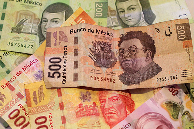 Tu dinero en manos de El Rey del Cash