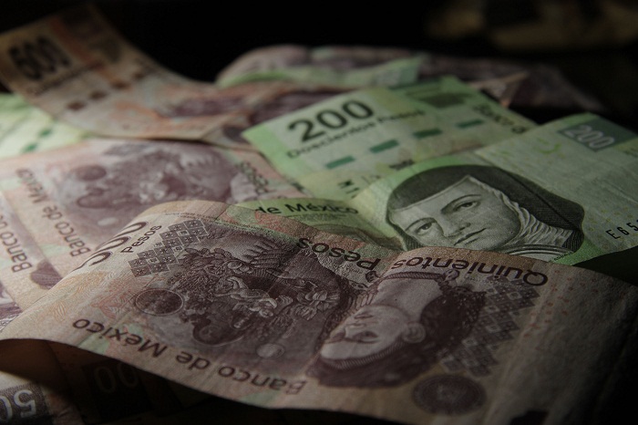 Por asaltos, avicultores de Tehuacán reducen 3% producción