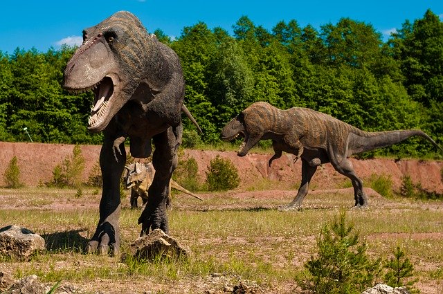 Por medio de realidad virtual en Google puedes ver animales prehistóricos