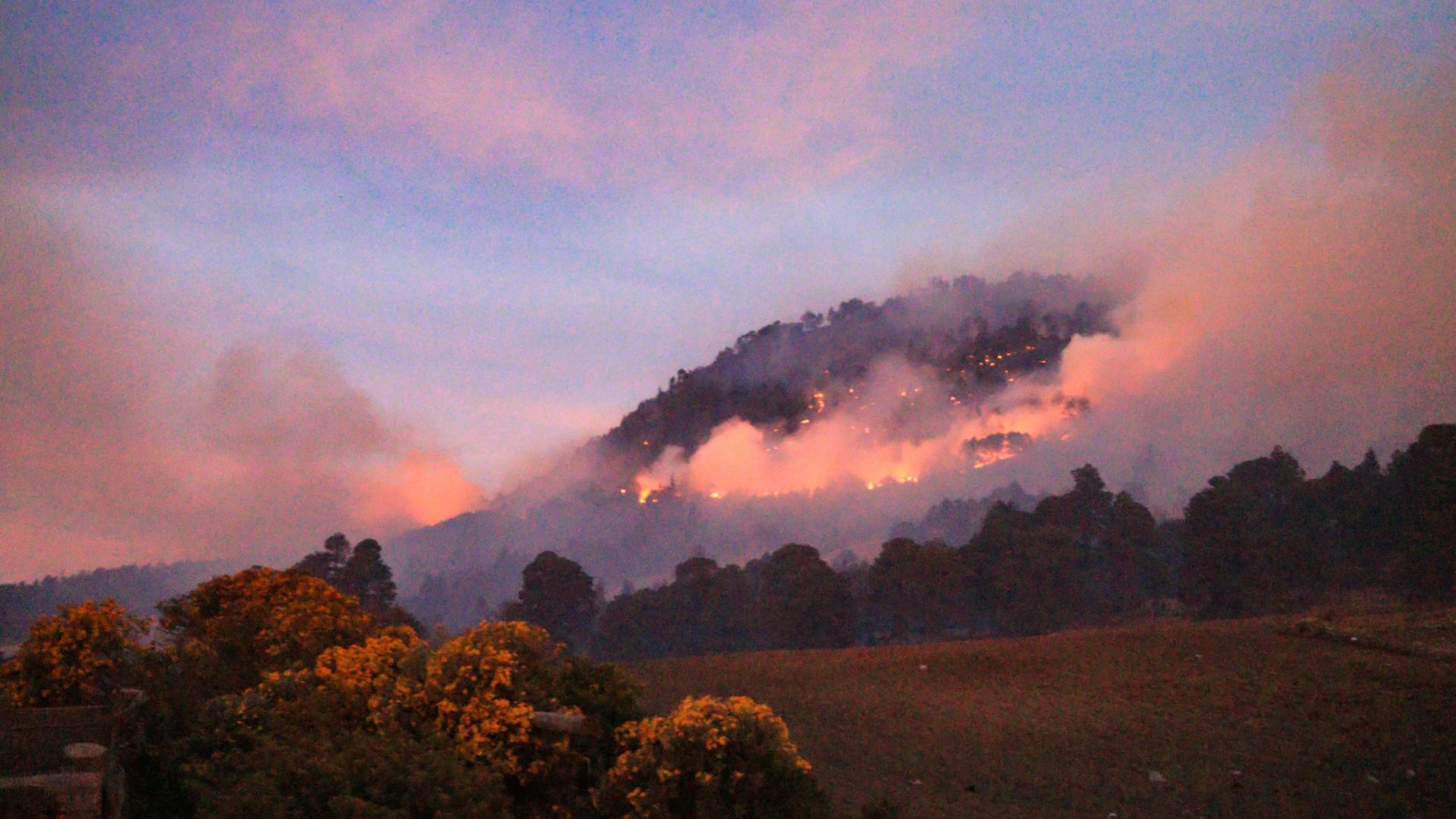 Incendios forestales disminuyeron en México, pero ahora son más grandes: Conagua 