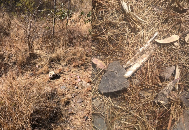 Hallan otra osamenta humana en San Martín Texmelucan