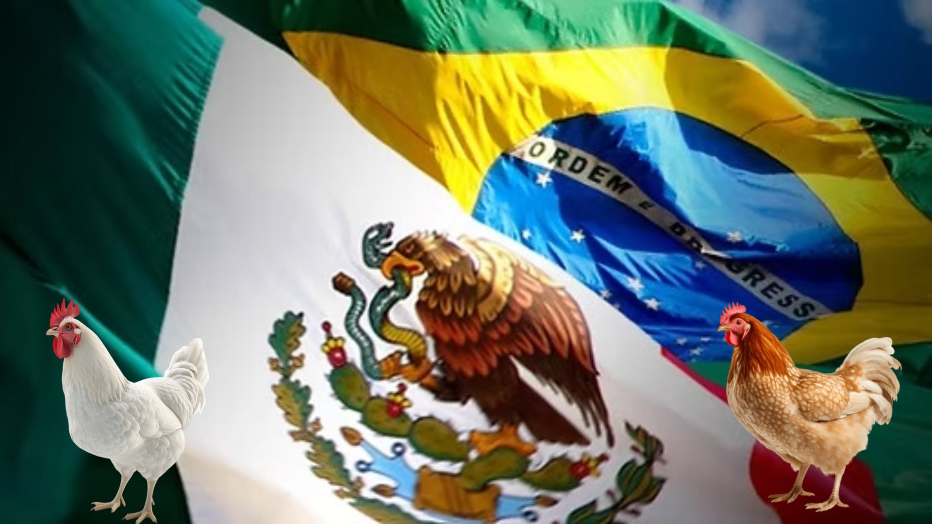 Por gripe aviar, México suspende importaciones avícolas de Brasil
