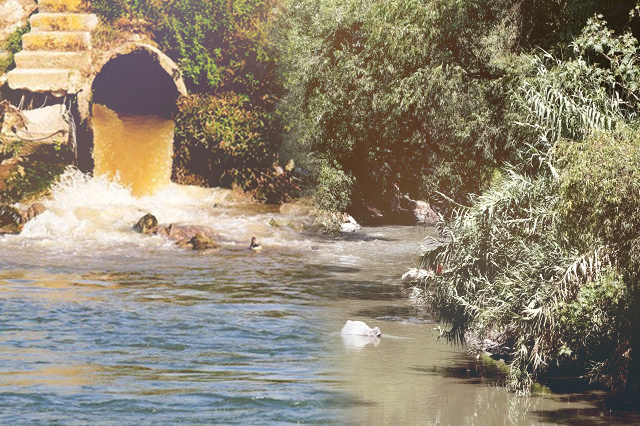 Aguas residuales contaminan cultivos de Tehuacán