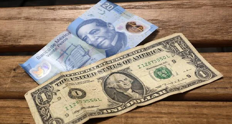 Las remesas se financiaron con recursos ajenos