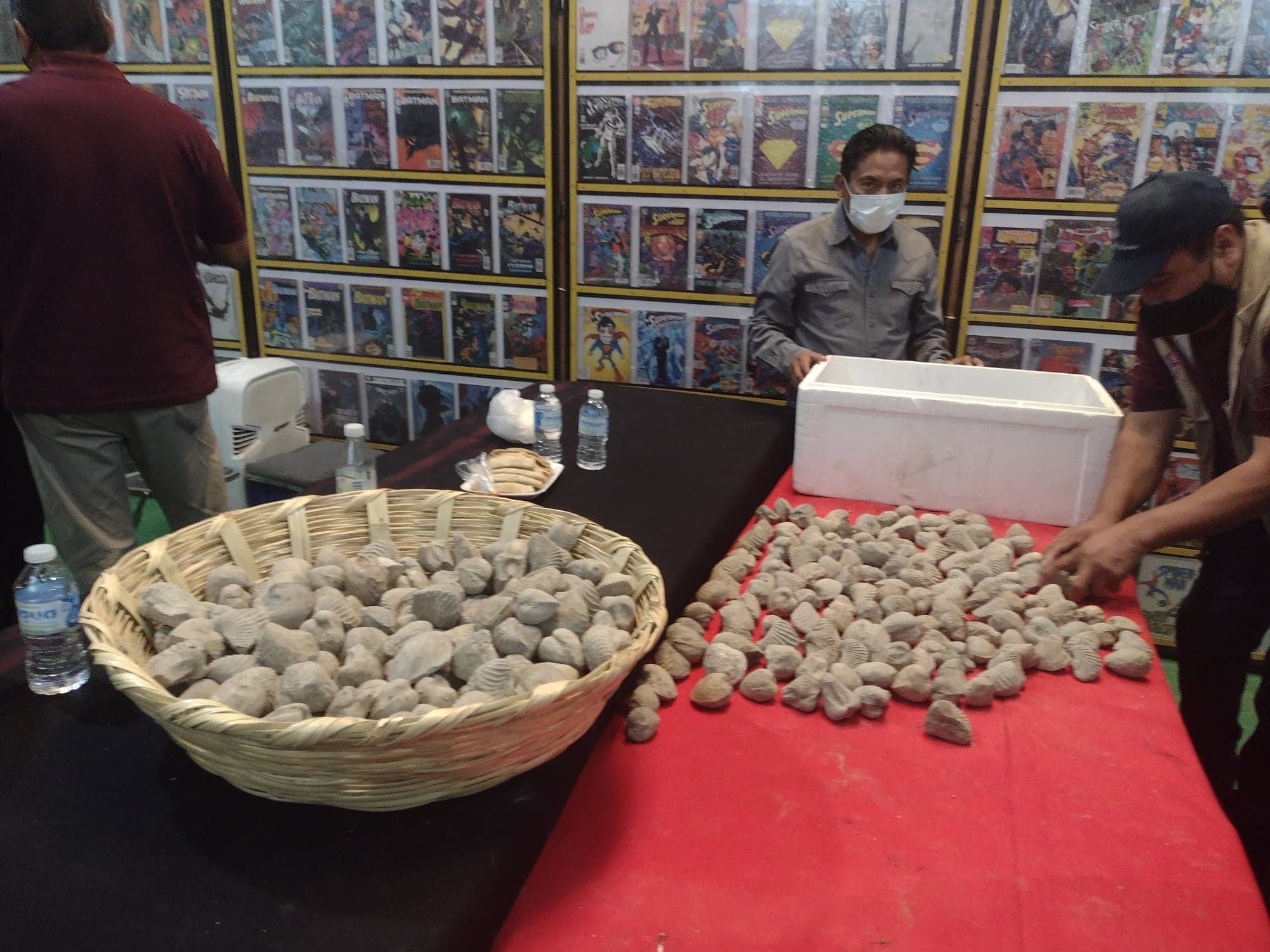 Donan 500 fósiles a Museo Comunitario de Altepexi tras robo 