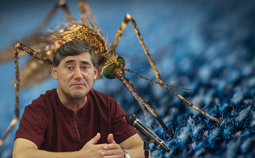 Síntomas de dengue se pueden confundir con los del coronavirus: UPAEP