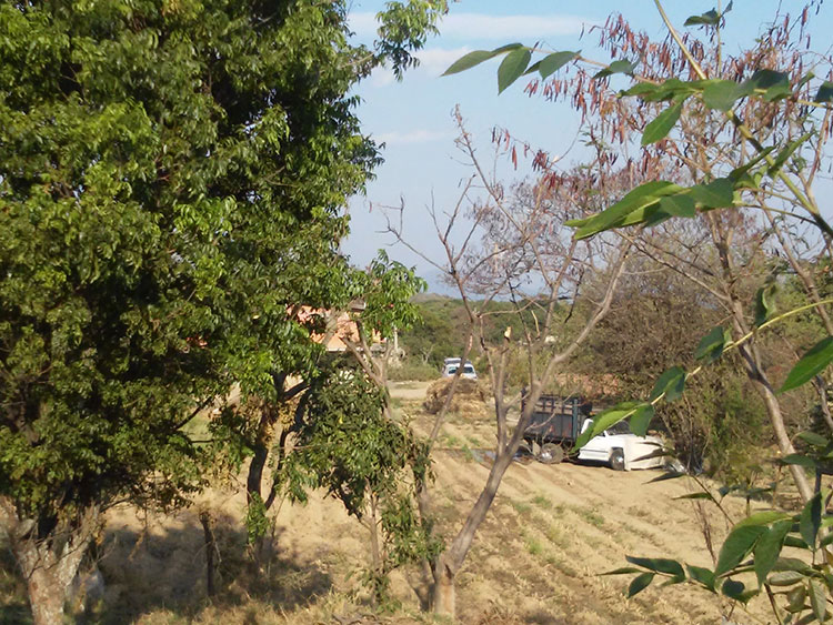 Drenaje en mal estado contamina terrenos en Tochimilco