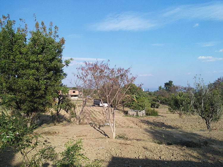 Drenaje en mal estado contamina terrenos en Tochimilco