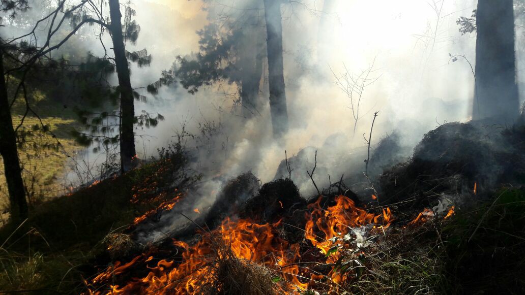 Incendios consumen 20 hectáreas forestales en Zacapoaxtla y Zaragoza