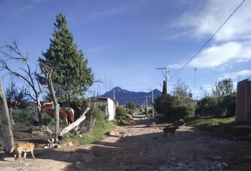 Piden drenaje y alcantarillado en San Miguel Espejo