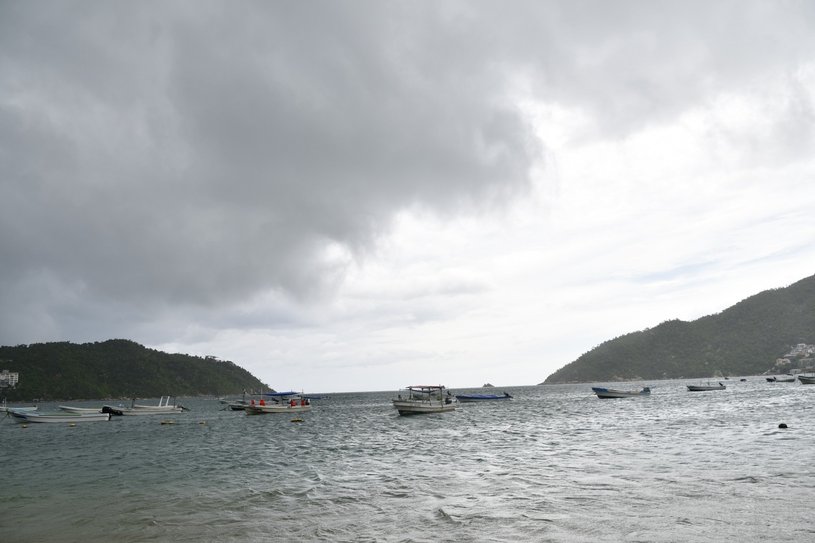 Bacterias serían útiles para descontaminar mar y playas