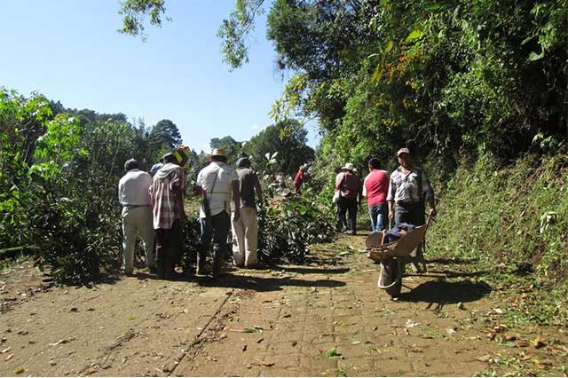 Habitantes de Huauchinango inician con limpieza de caminos tras daños por Earl