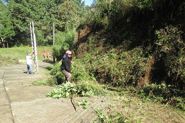 Habitantes de Huauchinango inician con limpieza de caminos tras daños por Earl