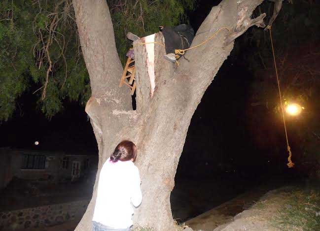 Denuncia hombre ecocidio en Serdán y se encadena a árbol