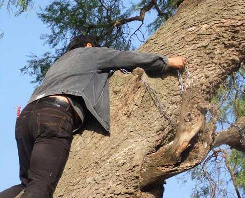 Denuncia hombre ecocidio en Serdán y se encadena a árbol