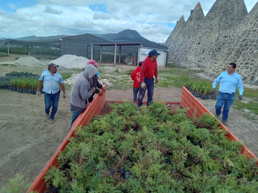 Granjas Carroll dona árboles en Perote, Tlachichuca y Tepeyahualco