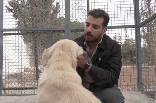 Refugio en Jordania ofrece esperanza a perros afectados por la guerra en Líbano