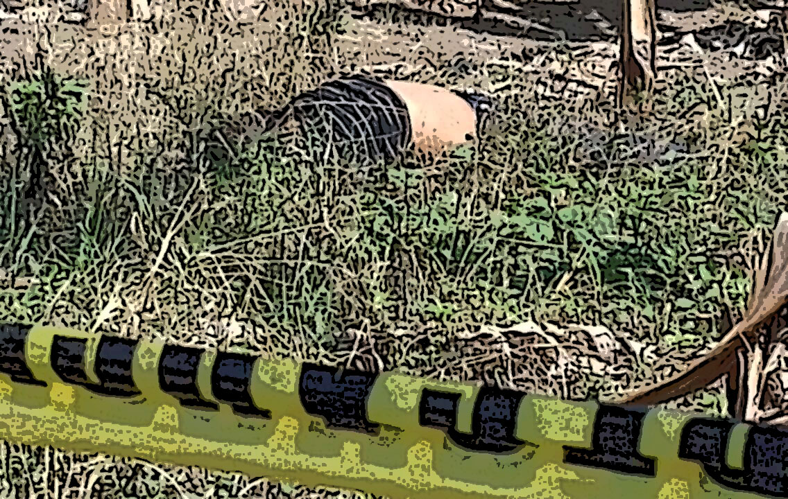 En barranca de Tecamachalco hallan a joven torturado y ejecutado