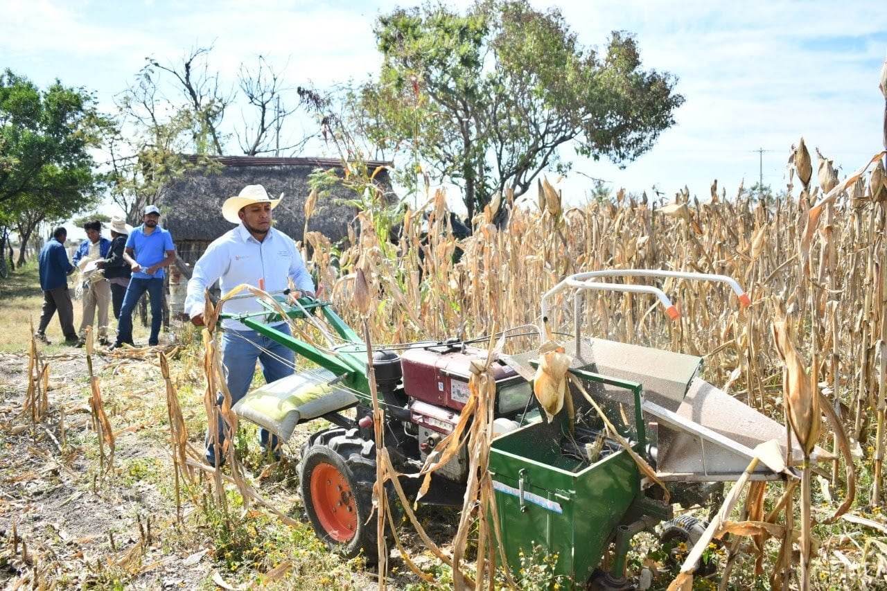 En 2022 se perdieron 500 hectáreas de cultivo por fenómenos naturales en Tehuacán 