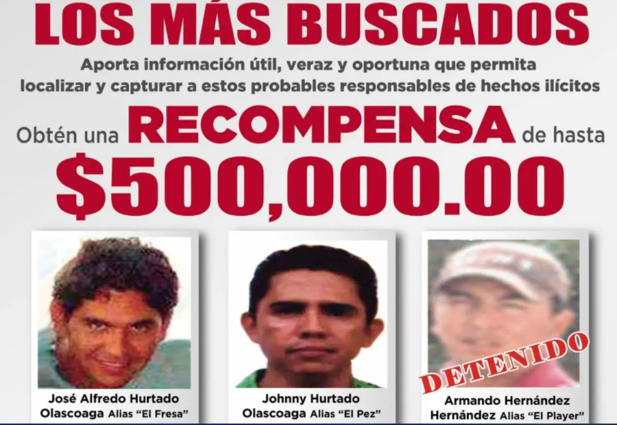 El Pez y El Fresa de la Familia Michoacana tienen 38 operadores a su cargo: Sedena