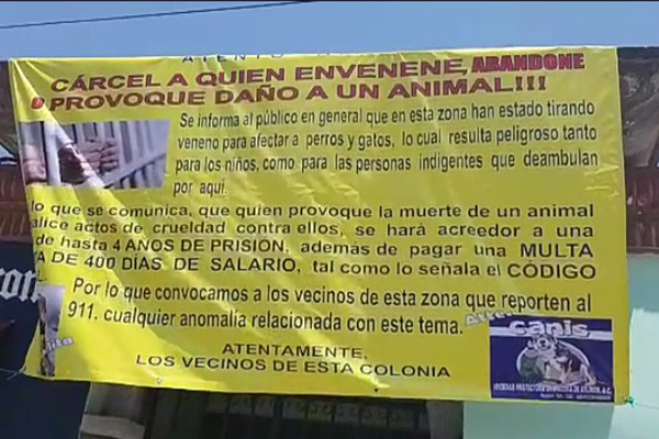 Advierten sobre envenenamiento de perros en Atlixco