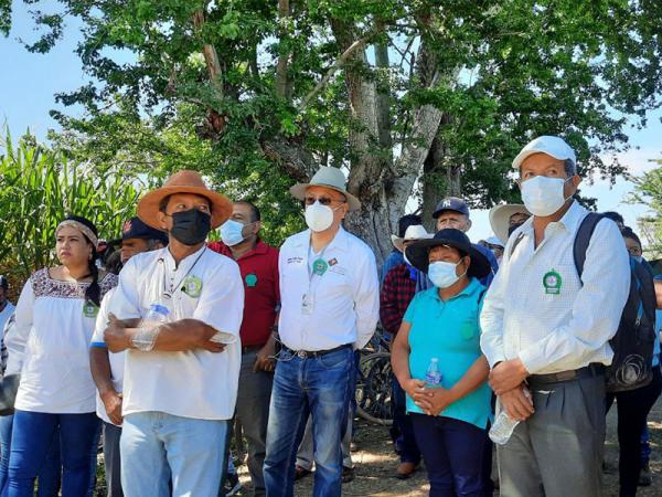 Impulsan cooperativa de producción de caña en Epatlán