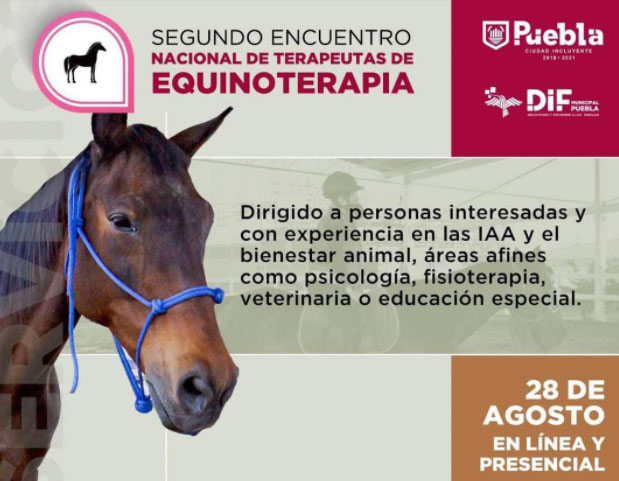 En Puebla se realizó el Segundo Encuentro Nacional de Terapeutas de Equinoterapia
