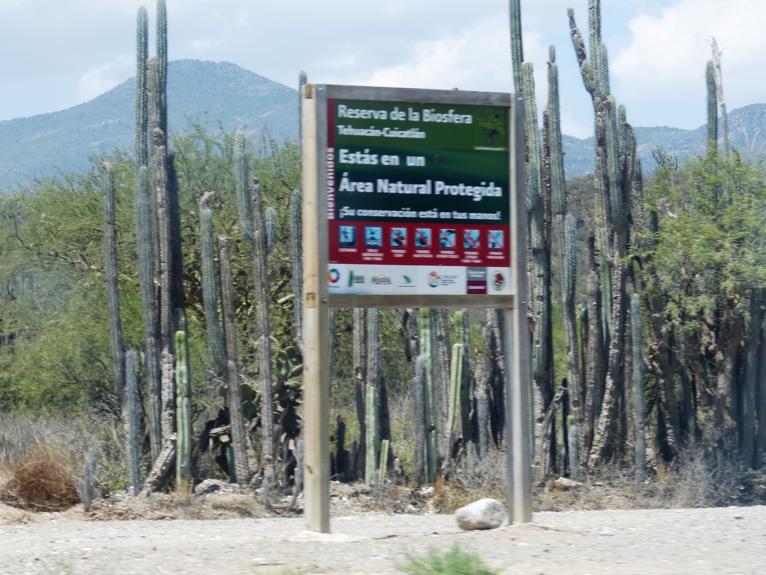 UNAM crea proyecto de agaves en Reserva Tehuacán-Cuicatlán